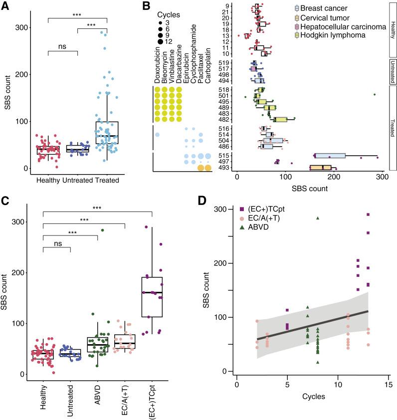 https://cdn.ncbi.nlm.nih.gov/pmc/blobs/c441/12046327/7755f897b206/cd-24-1368fig1.jpg