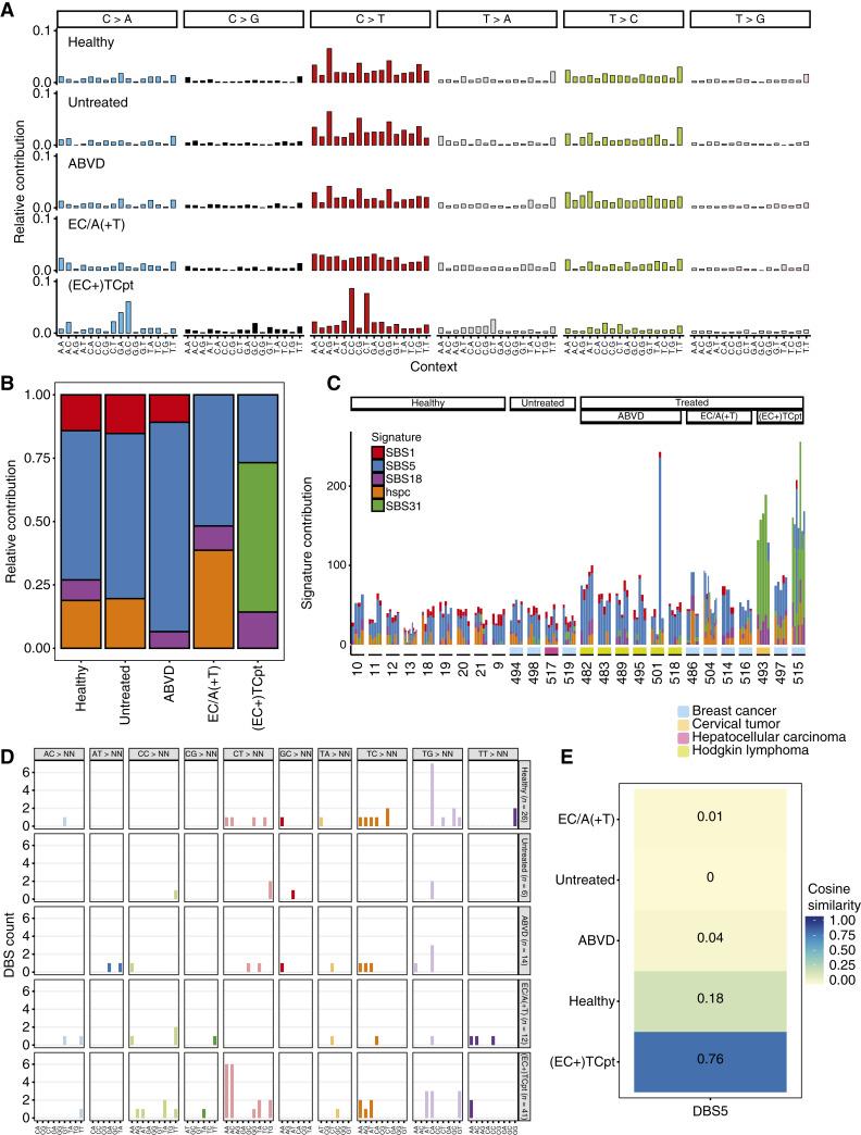 https://cdn.ncbi.nlm.nih.gov/pmc/blobs/c441/12046327/dd7d792cb621/cd-24-1368fig2.jpg