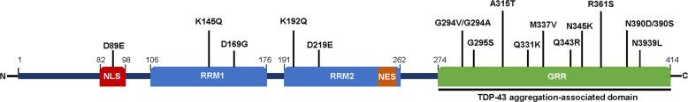 https://cdn.ncbi.nlm.nih.gov/pmc/blobs/c444/8080625/e04549e6bc74/12276_2020_513_Fig1_HTML.jpg