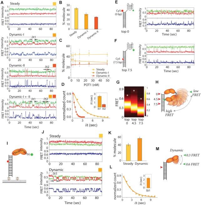 https://cdn.ncbi.nlm.nih.gov/pmc/blobs/c444/8643667/e8c1fb47da88/gkab1123fig2.jpg
