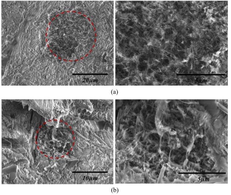https://cdn.ncbi.nlm.nih.gov/pmc/blobs/c446/5502671/97e637fe6303/materials-09-00220-g006.jpg