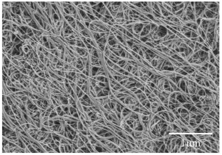 https://cdn.ncbi.nlm.nih.gov/pmc/blobs/c446/5502671/f322792dd19f/materials-09-00220-g001.jpg