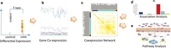 https://cdn.ncbi.nlm.nih.gov/pmc/blobs/c447/4073506/8f98c14112c7/12864_2013_6162_Fig1_HTML.jpg