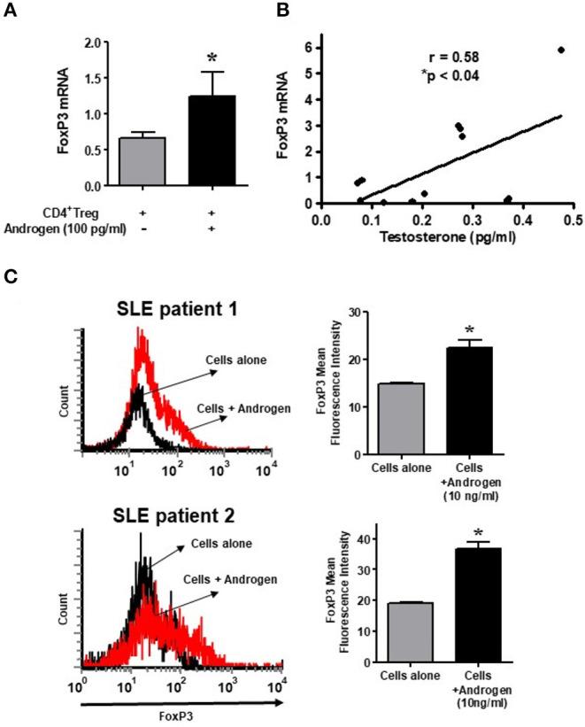 https://cdn.ncbi.nlm.nih.gov/pmc/blobs/c44a/7966510/ab5da7de7518/fimmu-12-619268-g0007.jpg