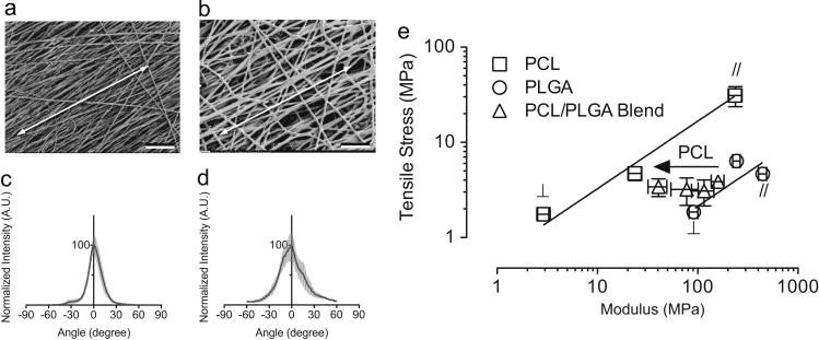https://cdn.ncbi.nlm.nih.gov/pmc/blobs/c44b/6461716/1b4aeb5807f4/gr3.jpg