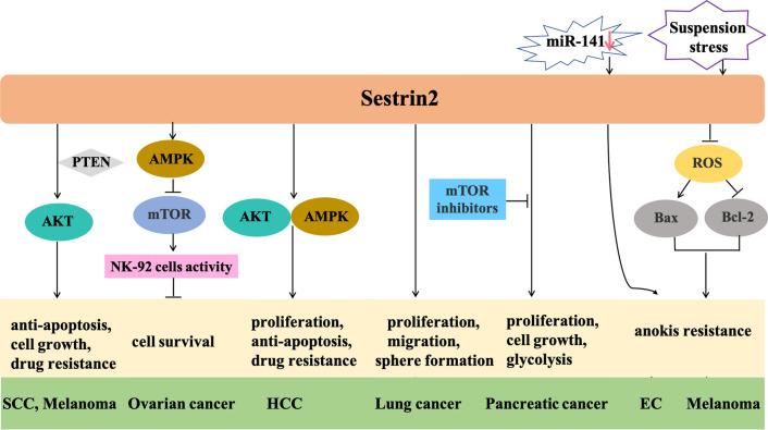 https://cdn.ncbi.nlm.nih.gov/pmc/blobs/c44b/8596924/0e4cc10a9450/12935_2021_2317_Fig4_HTML.jpg