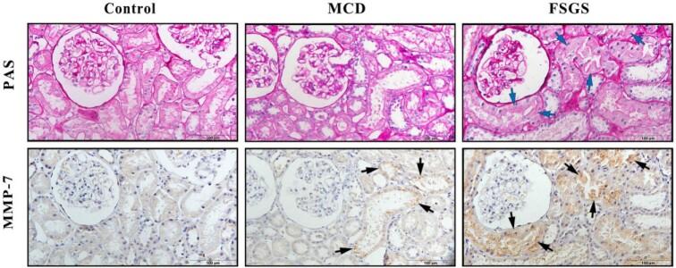 https://cdn.ncbi.nlm.nih.gov/pmc/blobs/c44d/10765092/bc3578ddb537/sfad027fig1.jpg