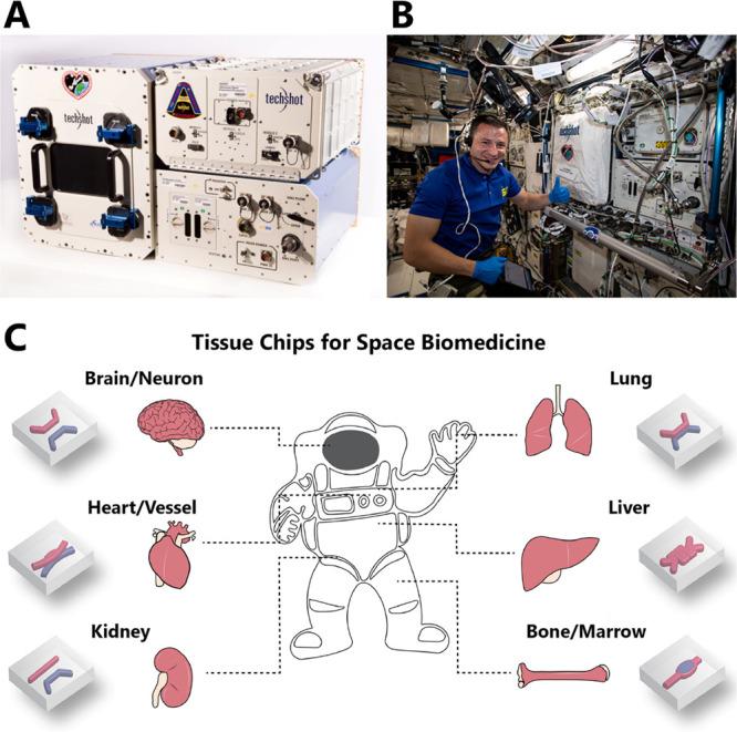 https://cdn.ncbi.nlm.nih.gov/pmc/blobs/c44e/10265578/843b938b991d/ab3c00195_0002.jpg