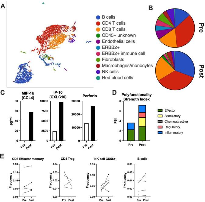 https://cdn.ncbi.nlm.nih.gov/pmc/blobs/c44e/10281865/12f9f58350ba/41417_2023_587_Fig2_HTML.jpg