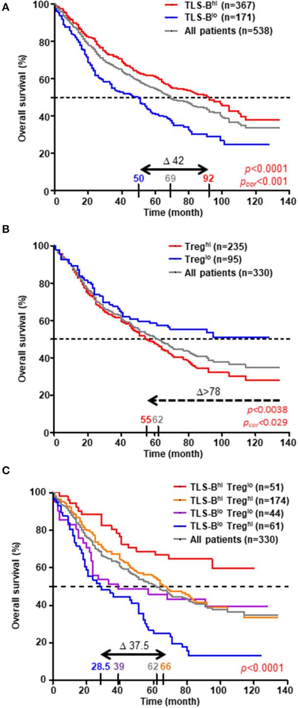 https://cdn.ncbi.nlm.nih.gov/pmc/blobs/c44e/7983944/1857d34be971/fimmu-12-626776-g0006.jpg