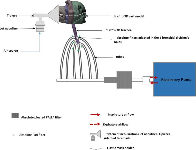 https://cdn.ncbi.nlm.nih.gov/pmc/blobs/c44f/9848713/ee68fa7cd231/11095_2022_3466_Fig1_HTML.jpg