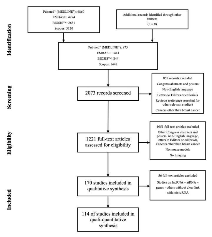 https://cdn.ncbi.nlm.nih.gov/pmc/blobs/c452/8656589/46f18d860cc0/cancers-13-06020-g001.jpg