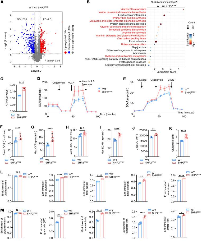https://cdn.ncbi.nlm.nih.gov/pmc/blobs/c455/11141883/20388ad9e969/jciinsight-9-170340-g003.jpg