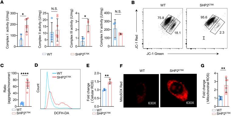 https://cdn.ncbi.nlm.nih.gov/pmc/blobs/c455/11141883/39fb2d19b0b5/jciinsight-9-170340-g004.jpg
