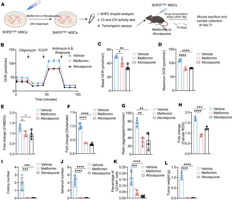 https://cdn.ncbi.nlm.nih.gov/pmc/blobs/c455/11141883/c95a52908f47/jciinsight-9-170340-g005.jpg