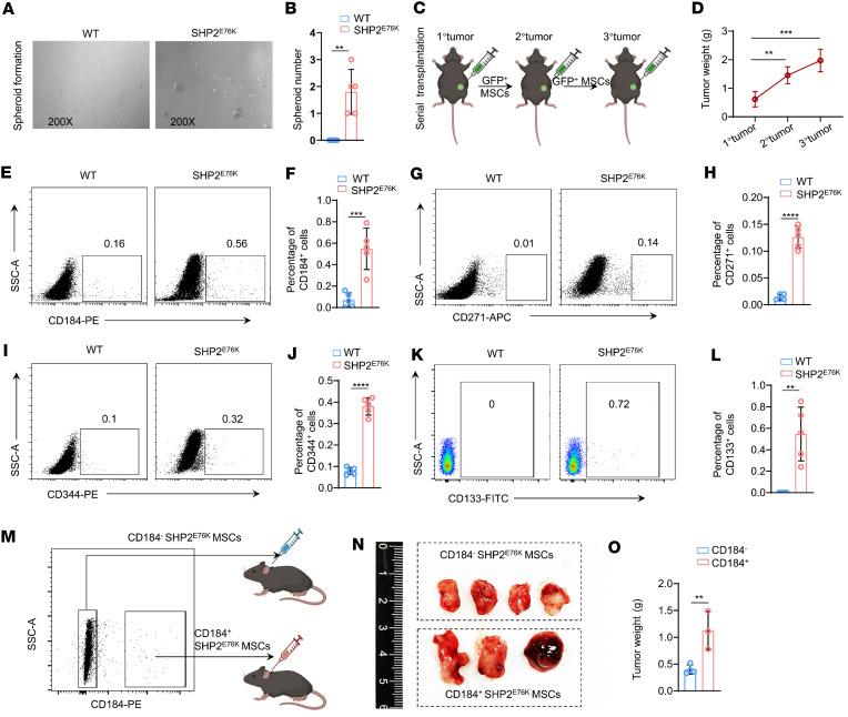 https://cdn.ncbi.nlm.nih.gov/pmc/blobs/c455/11141883/fcd880fad293/jciinsight-9-170340-g002.jpg
