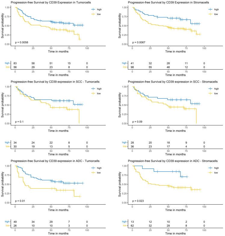 https://cdn.ncbi.nlm.nih.gov/pmc/blobs/c455/11987875/80730b031787/cancers-17-01142-g005.jpg
