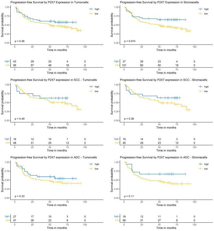 https://cdn.ncbi.nlm.nih.gov/pmc/blobs/c455/11987875/d23440d3afb5/cancers-17-01142-g007.jpg