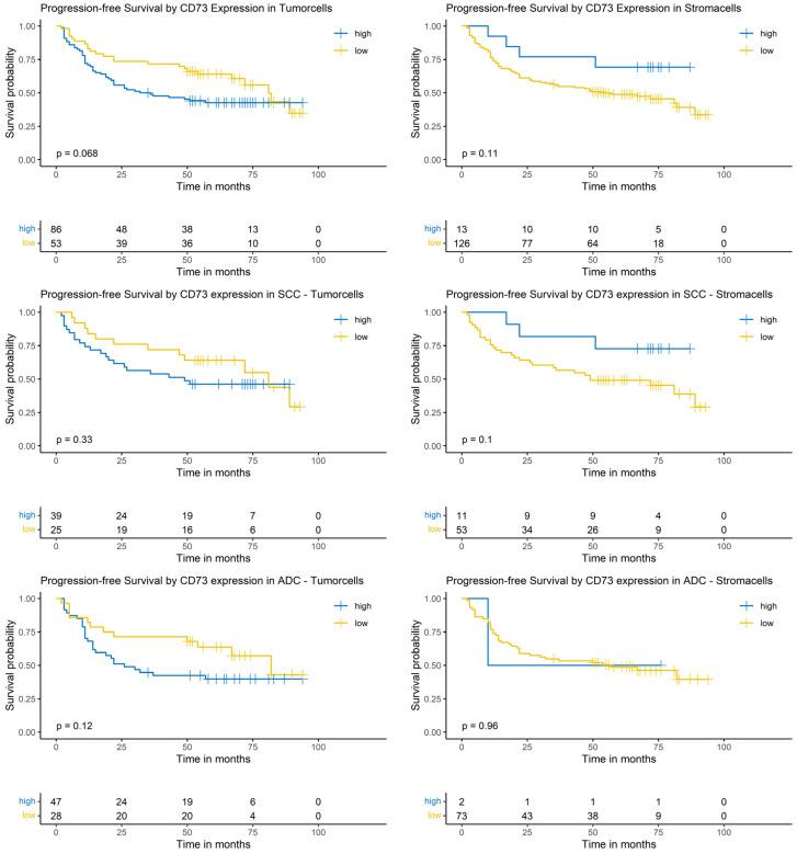 https://cdn.ncbi.nlm.nih.gov/pmc/blobs/c455/11987875/e2e3357e511f/cancers-17-01142-g006.jpg