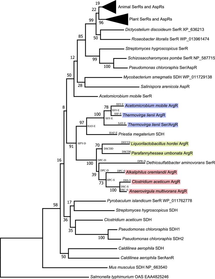 https://cdn.ncbi.nlm.nih.gov/pmc/blobs/c456/11850409/7e9e948c7101/239_2024_10231_Fig3_HTML.jpg