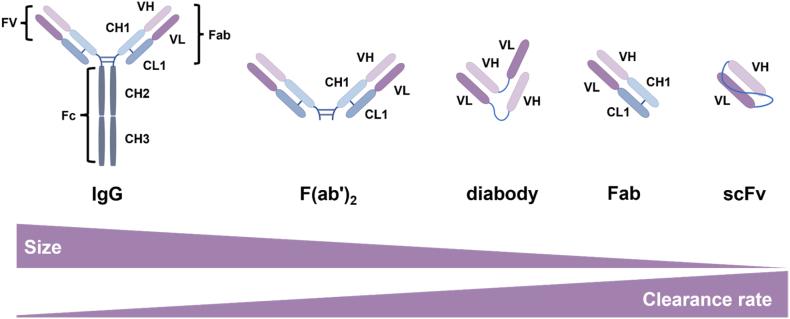https://cdn.ncbi.nlm.nih.gov/pmc/blobs/c456/12399209/5874b9b0ba7a/gr2.jpg