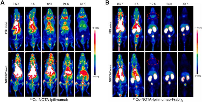 https://cdn.ncbi.nlm.nih.gov/pmc/blobs/c456/12399209/d642a96d252e/gr14.jpg