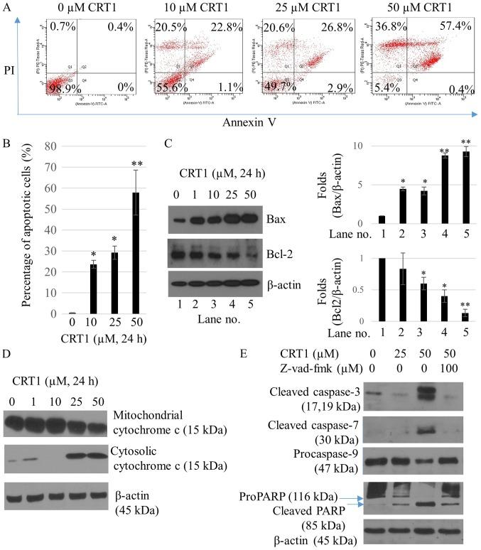 https://cdn.ncbi.nlm.nih.gov/pmc/blobs/c458/6131655/e421d6126f37/MMR-18-04-3898-g01.jpg
