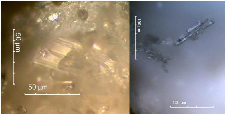 https://cdn.ncbi.nlm.nih.gov/pmc/blobs/c458/8955892/97991930324a/materials-15-02010-g016.jpg