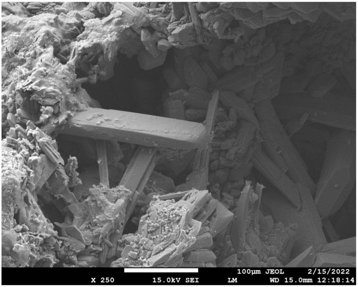 https://cdn.ncbi.nlm.nih.gov/pmc/blobs/c458/8955892/f97c54421fa5/materials-15-02010-g024.jpg