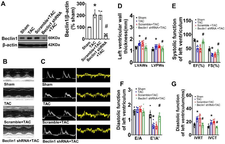 https://cdn.ncbi.nlm.nih.gov/pmc/blobs/c459/10797681/4b2a75f8d2f3/ijmsv21p0439g002.jpg