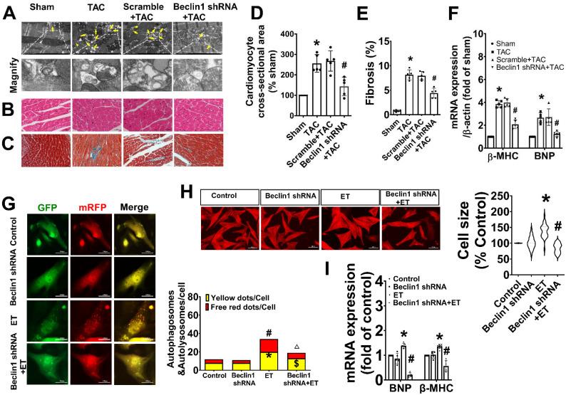 https://cdn.ncbi.nlm.nih.gov/pmc/blobs/c459/10797681/d2c86762f4b5/ijmsv21p0439g003.jpg