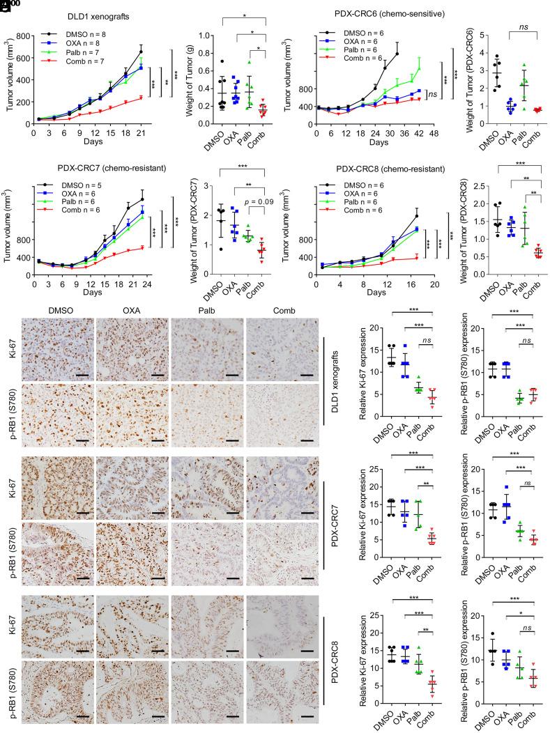 https://cdn.ncbi.nlm.nih.gov/pmc/blobs/c459/10861914/da38aa527f07/pnas.2304619121fig07.jpg