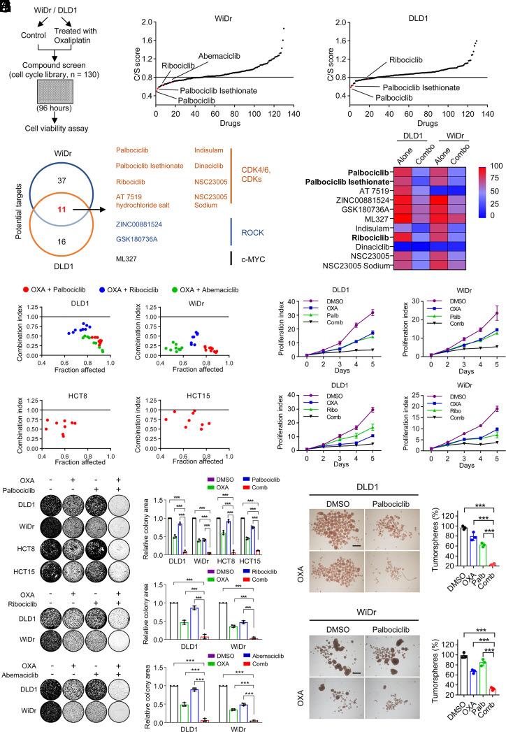 https://cdn.ncbi.nlm.nih.gov/pmc/blobs/c459/10861914/f7b0d5bb09e5/pnas.2304619121fig02.jpg