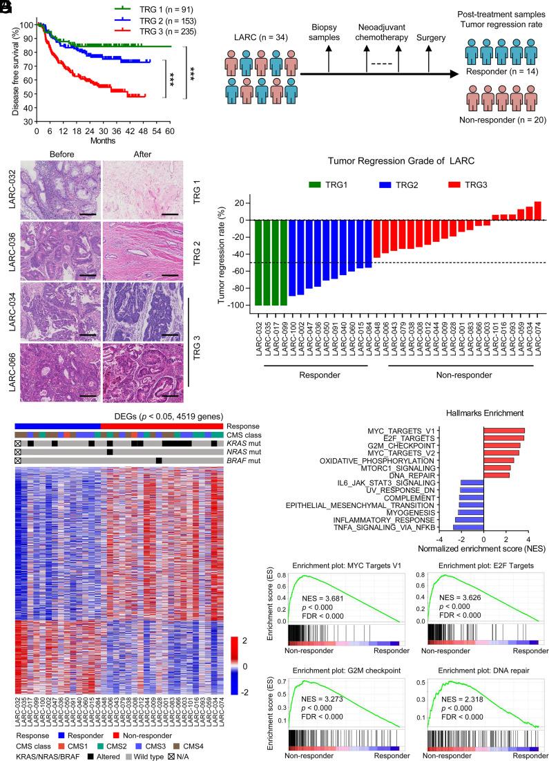 https://cdn.ncbi.nlm.nih.gov/pmc/blobs/c459/10861914/f9124791ef6a/pnas.2304619121fig01.jpg