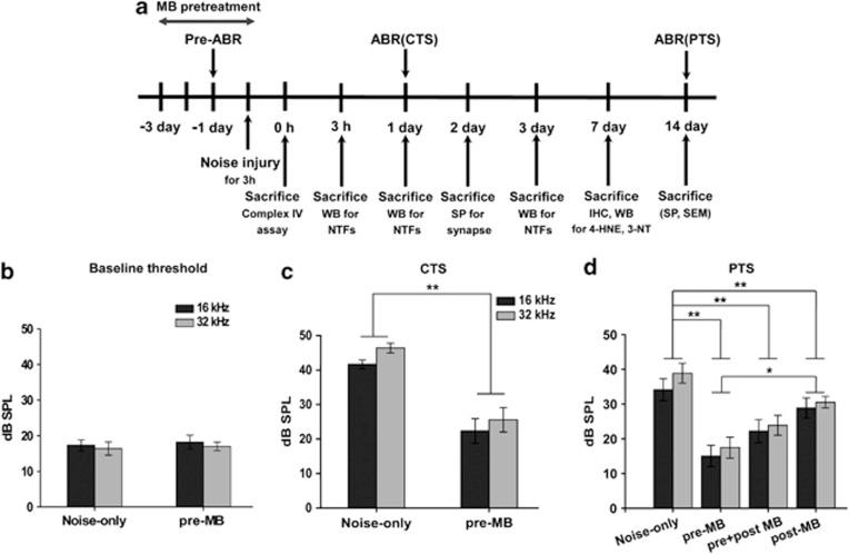 https://cdn.ncbi.nlm.nih.gov/pmc/blobs/c45a/4001318/87c106cb8644/cddis2014170f1.jpg