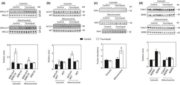 https://cdn.ncbi.nlm.nih.gov/pmc/blobs/c45b/8831939/33b1aaa49141/PHY2-10-e15181-g003.jpg