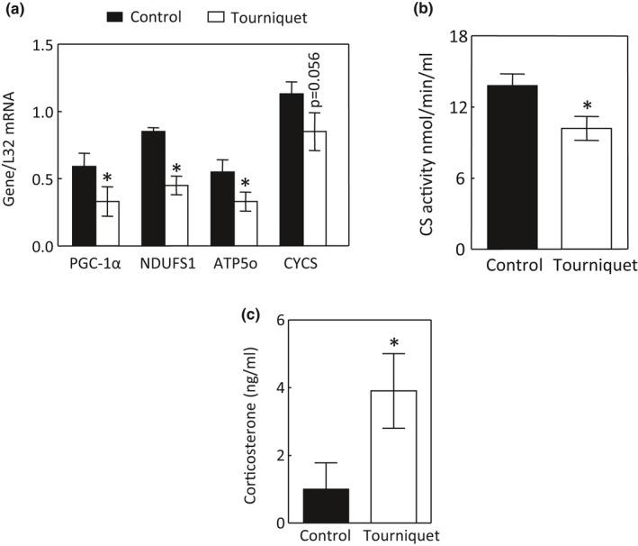 https://cdn.ncbi.nlm.nih.gov/pmc/blobs/c45b/8831939/653fd27adfd4/PHY2-10-e15181-g004.jpg