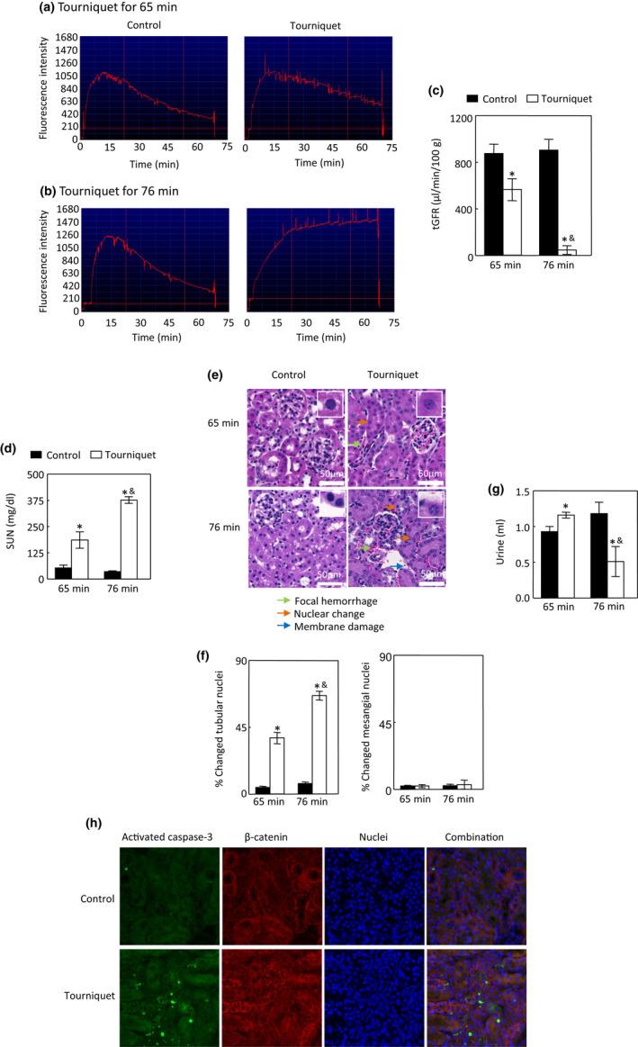 https://cdn.ncbi.nlm.nih.gov/pmc/blobs/c45b/8831939/79f762929d93/PHY2-10-e15181-g009.jpg