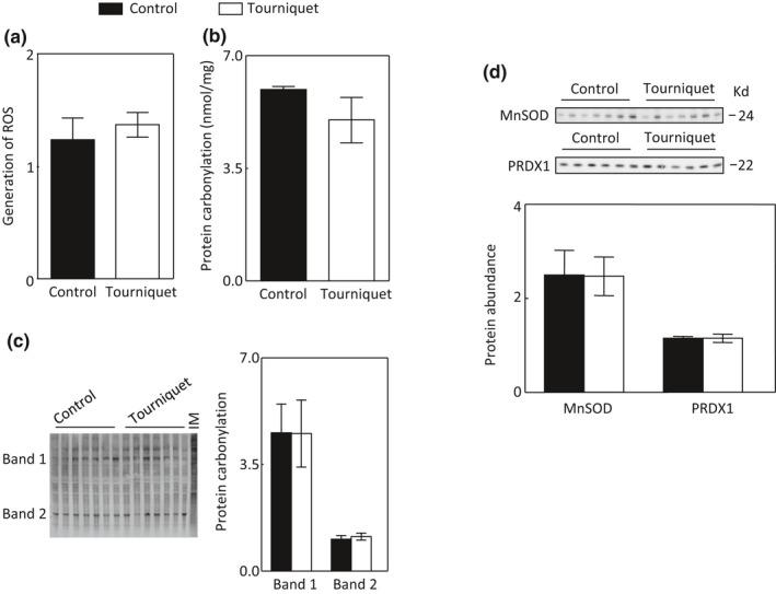 https://cdn.ncbi.nlm.nih.gov/pmc/blobs/c45b/8831939/9c9305baca56/PHY2-10-e15181-g002.jpg