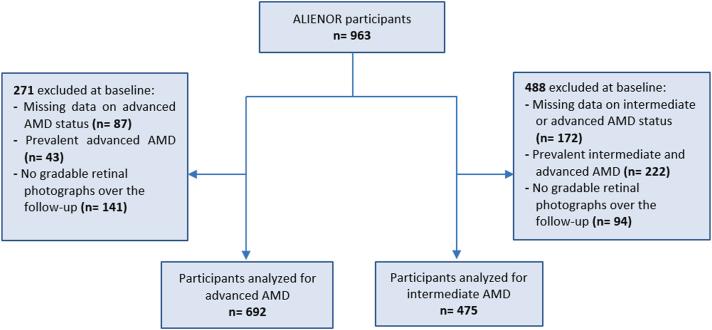 https://cdn.ncbi.nlm.nih.gov/pmc/blobs/c45d/12346055/64b933531cd6/gr2.jpg