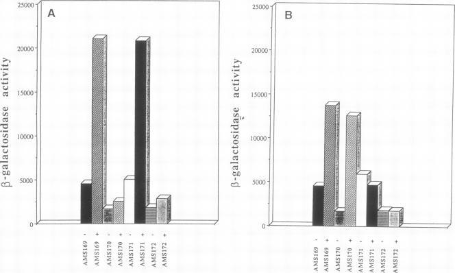 https://cdn.ncbi.nlm.nih.gov/pmc/blobs/c45d/205590/dd3dd0a41d06/jbacter00031-0120-a.jpg