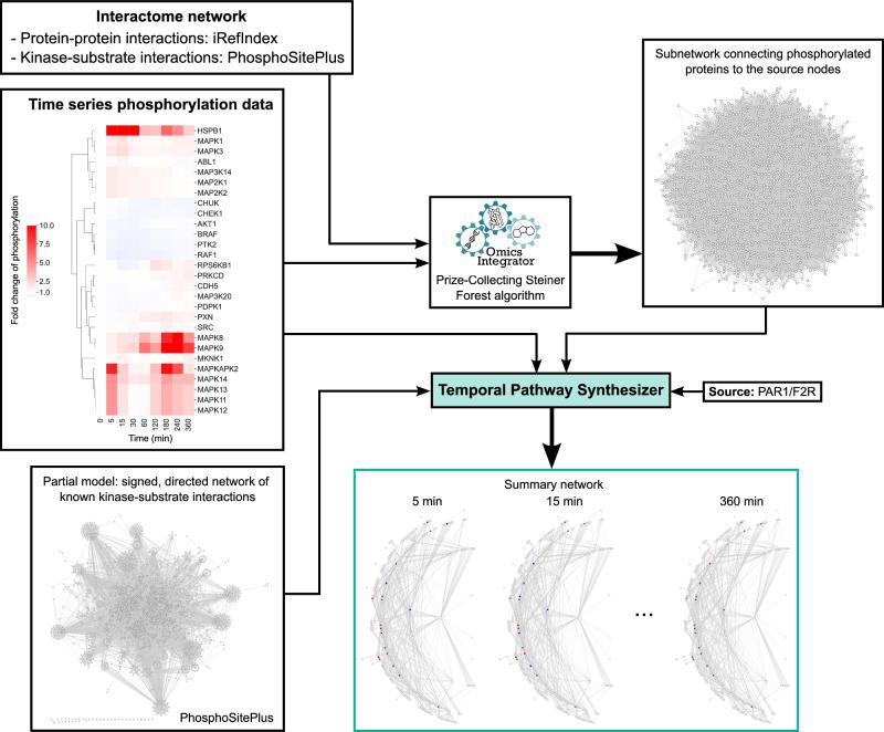 https://cdn.ncbi.nlm.nih.gov/pmc/blobs/c45f/11568298/767ceec7329b/41540_2024_468_Fig1_HTML.jpg