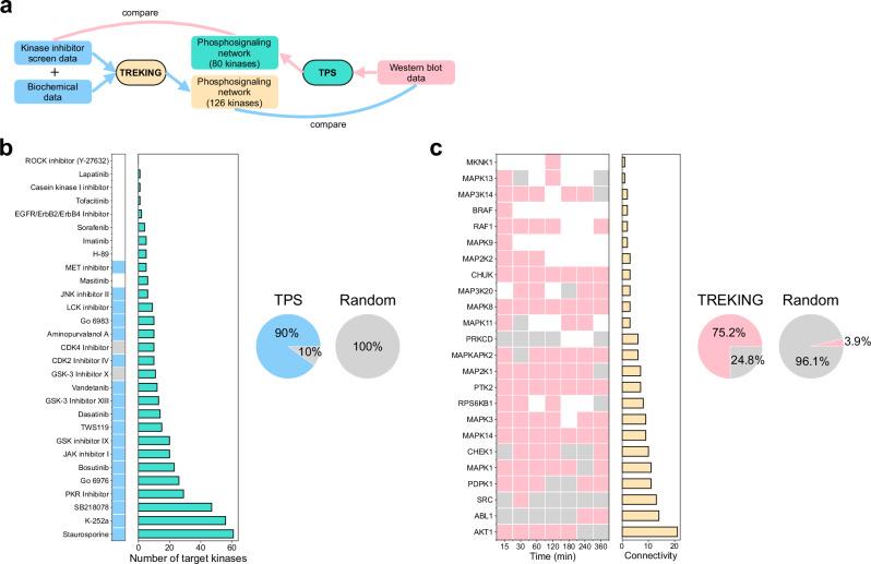 https://cdn.ncbi.nlm.nih.gov/pmc/blobs/c45f/11568298/f5f4f8dc337c/41540_2024_468_Fig3_HTML.jpg