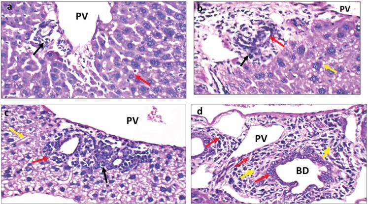 https://cdn.ncbi.nlm.nih.gov/pmc/blobs/c45f/12319215/69a2459a3968/bi-15-31086-g004.jpg