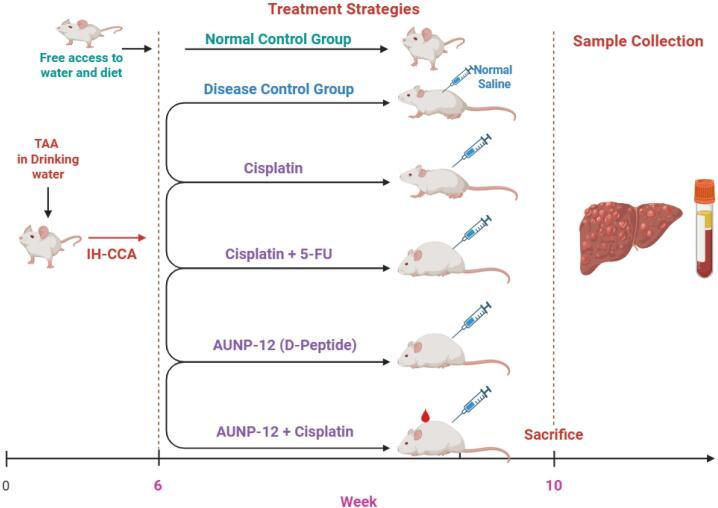 https://cdn.ncbi.nlm.nih.gov/pmc/blobs/c45f/12319215/f161991def5d/bi-15-31086-g001.jpg