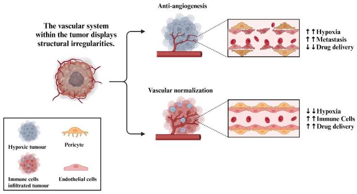 https://cdn.ncbi.nlm.nih.gov/pmc/blobs/c461/10705971/fab14a5e30e7/cells-12-02692-g002.jpg