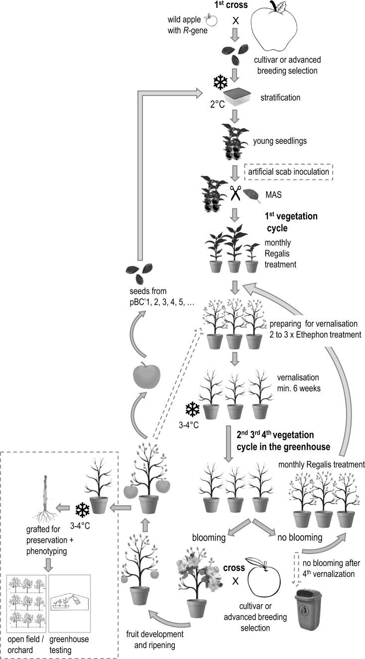 https://cdn.ncbi.nlm.nih.gov/pmc/blobs/c461/12405375/e65cdd862af0/425_2025_4780_Fig1_HTML.jpg