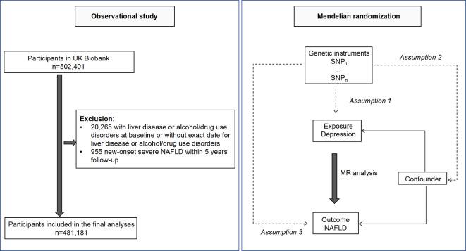 https://cdn.ncbi.nlm.nih.gov/pmc/blobs/c462/11574024/3f65a20c166d/41598_2024_79100_Fig1_HTML.jpg