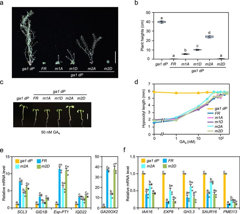 https://cdn.ncbi.nlm.nih.gov/pmc/blobs/c463/11372120/16ccc35ecc24/41467_2024_52033_Fig3_HTML.jpg