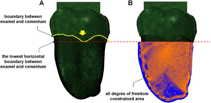 https://cdn.ncbi.nlm.nih.gov/pmc/blobs/c466/12125724/5f1a53301290/12903_2025_6178_Fig3_HTML.jpg